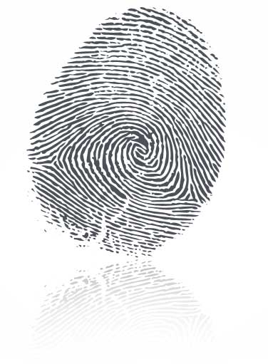 Fingerprint illustration